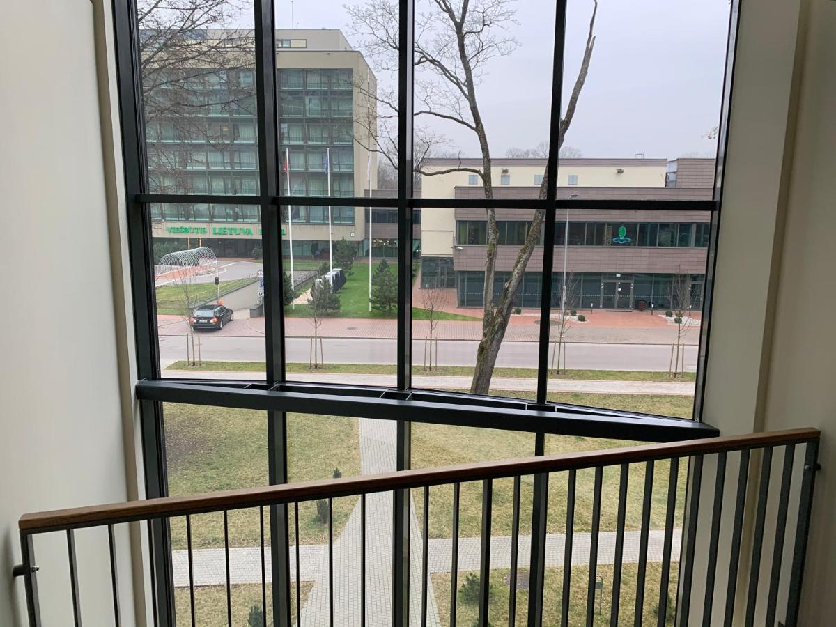 Broliu Studija Lägenhet Druskininkai Exteriör bild